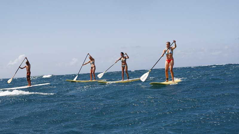 Hire a Stand Up Paddle Board and explore Australia’s iconic Manly Beach and beyond!